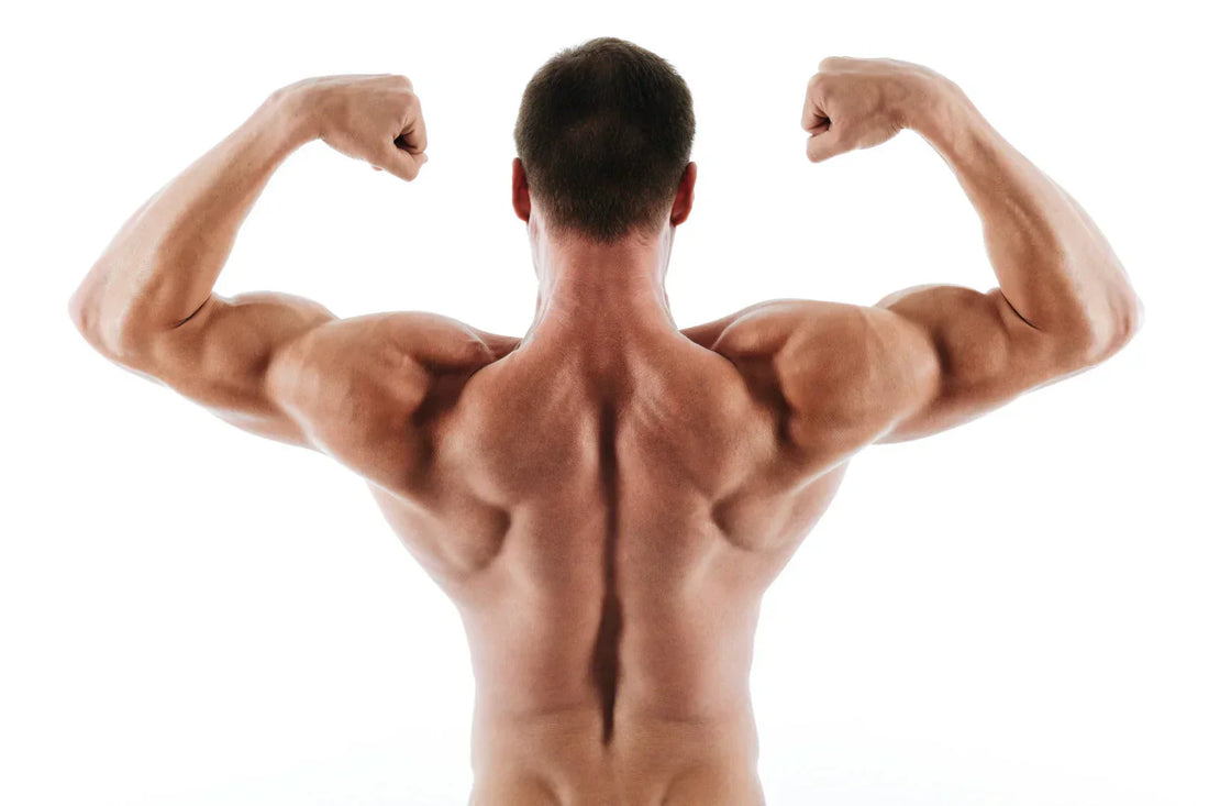 Unlock Your Fitness Potential with Creatine Monohydrate