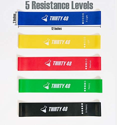 Thirty48 Gliding Discs Core Sliders and 5 Exercise