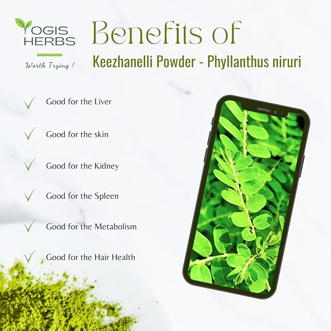 Keezhanelli Powder (Phyllanthus Niruri) | Chanca Piedra Stone Breaker – Liver, Kidney & Gallbladder Support– Fresh & Pure Herbal Supplement (8 oz)