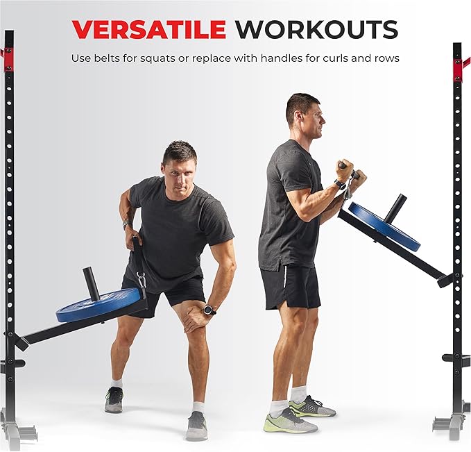 Sunny Health & Fitness Power Cage Squat Rack Upgrade Attachments, Dip Bar, Plate Bar Holder, Belt Squat, J Hook, Lat, Adapter, U Ring, Pull Up Bar, Landmine, Captain's Chair, Tricep Rope For Home Gym