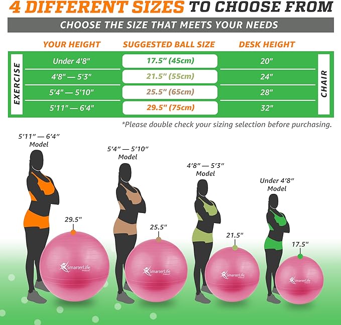 SmarterLife Workout Exercise Ball for Fitness