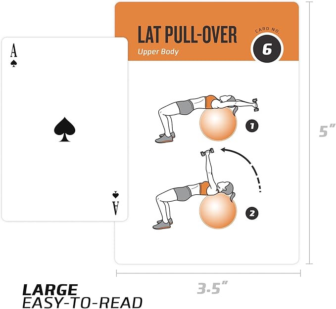 NewMe Fitness Stability Workout Cards - Instructional Fitness