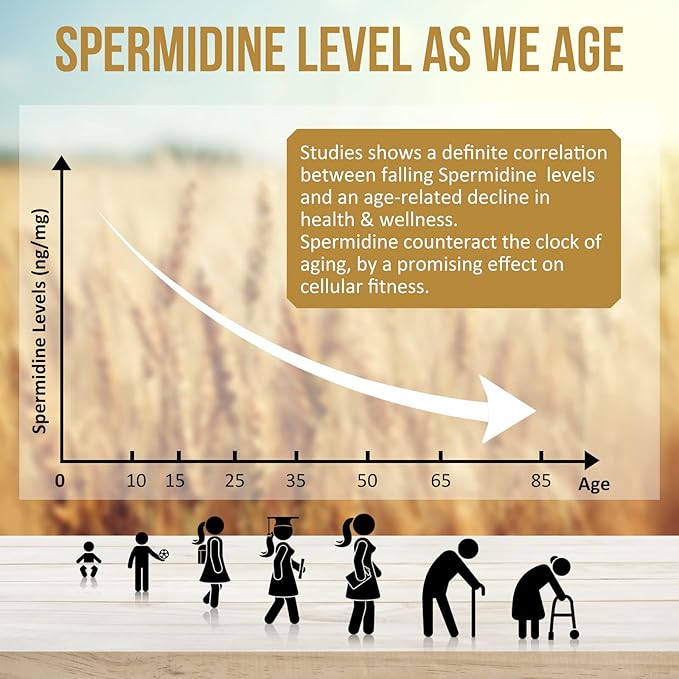 Spermidine Supplements 13mg - 1300mg Wheat Germ Extract Capsules Potent Formula with Higher Spermidine Content and Zinc for Healthy Aging, Daily Immune System and Cell Renewal, 120 Capsules