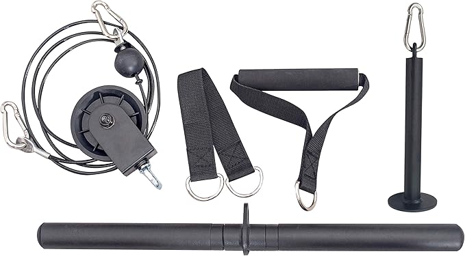 Sunny Health & Fitness Power Cage Squat Rack Upgrade Attachments, Dip Bar, Plate Bar Holder, Belt Squat, J Hook, Lat, Adapter, U Ring, Pull Up Bar, Landmine, Captain's Chair, Tricep Rope For Home Gym