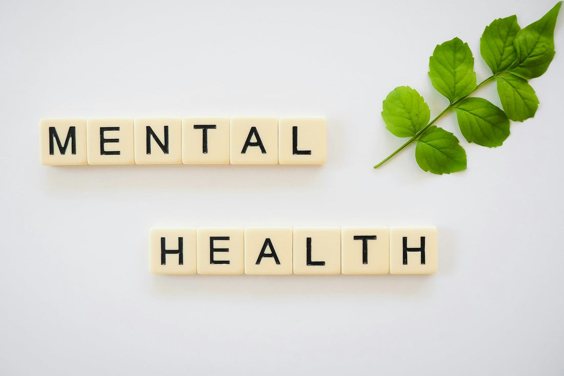 How Fitness Supports Mental Clarity and Focus