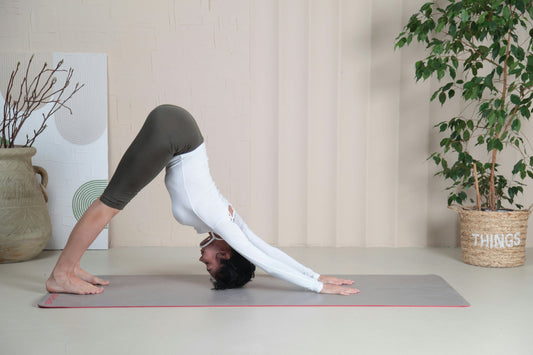 Recovery Tips and Stretching Routines After Intense Training