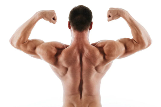 Unlock Your Fitness Potential with Creatine Monohydrate