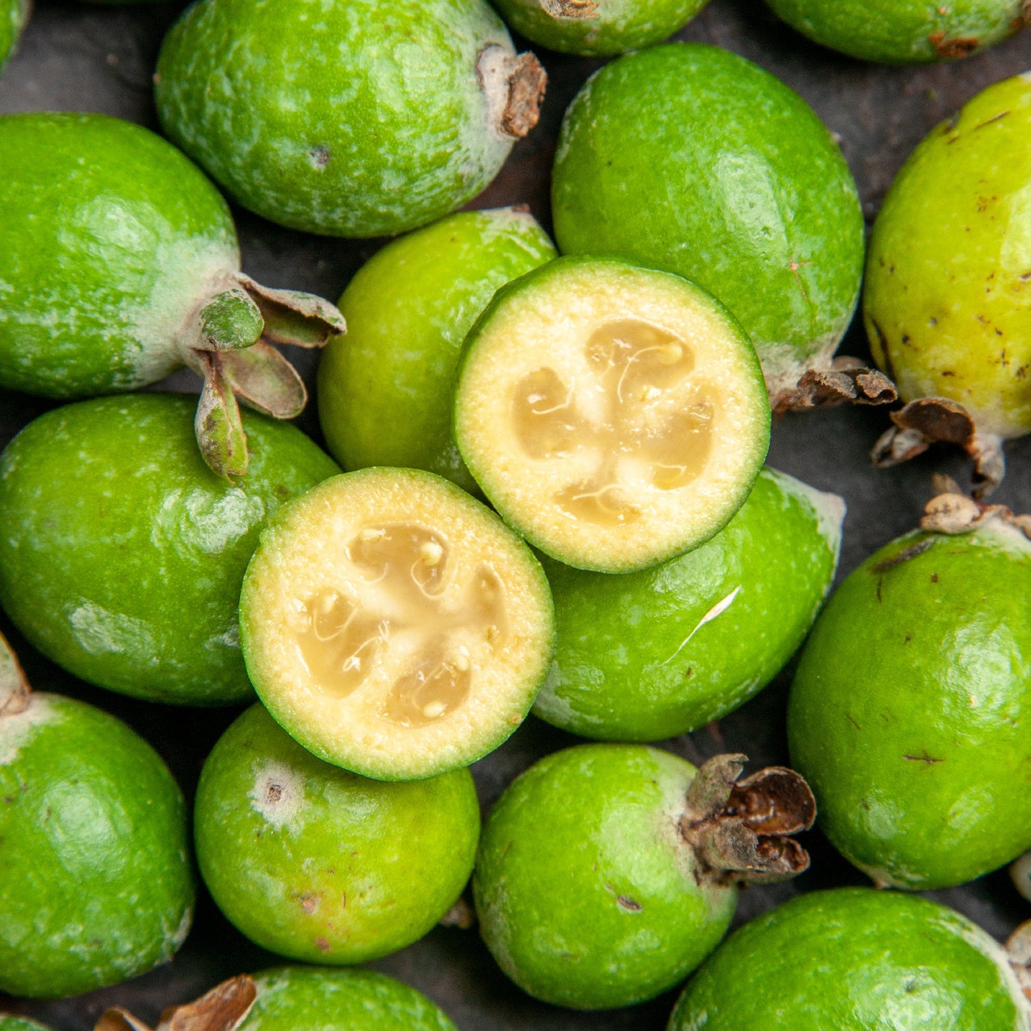 Garcinia Cambogia