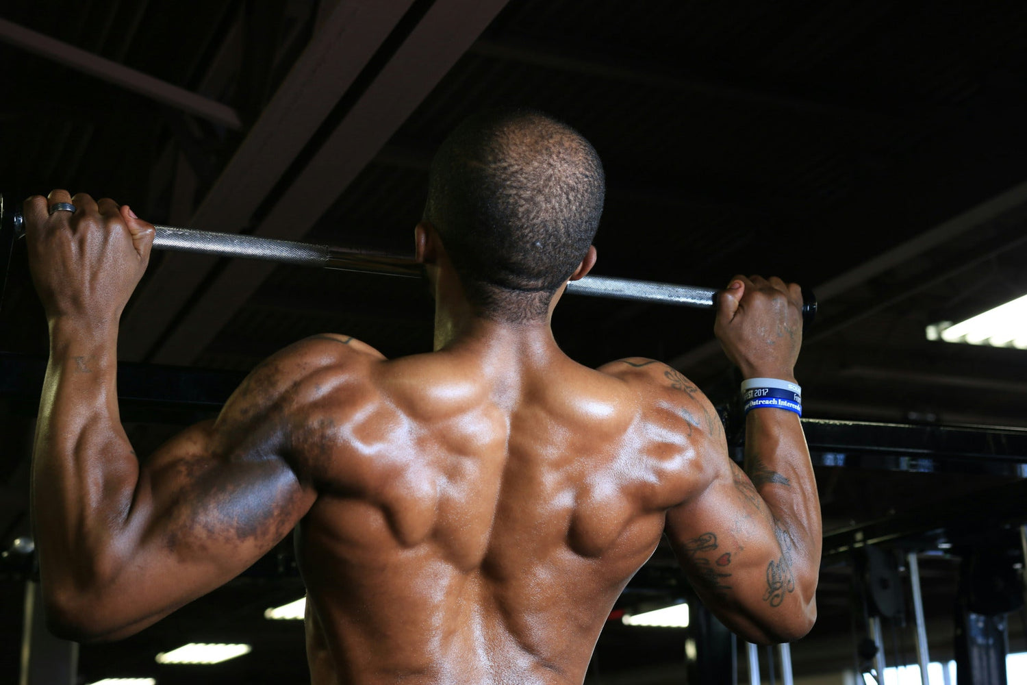 Pull Up Bar