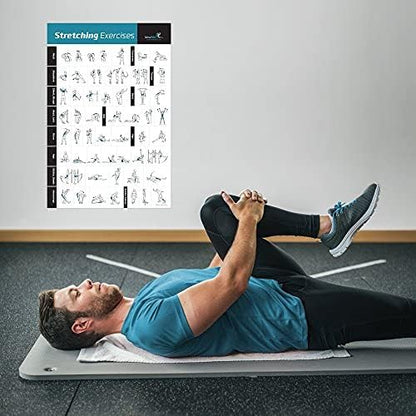 NewMe Fitness Workout Posters for Home Gym -