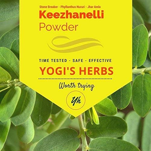 Keezhanelli Powder (Phyllanthus Niruri) | Chanca Piedra Stone Breaker – Liver, Kidney & Gallbladder Support– Fresh & Pure Herbal Supplement (8 oz)