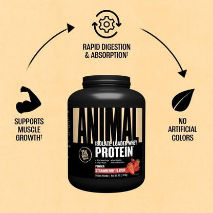 Animal Whey Isolate Protein Powder - Loaded for Pre & Post Workout Muscle Builder and Recovery with Digestive Enzymes for Men & Women - 25g Protein, Great Taste, Low Sugar - Strawberry 4 lbs