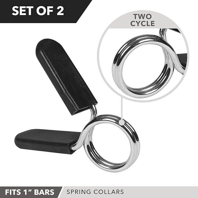 Day 1 Fitness Spring Clips 2 – 1” for 2” for