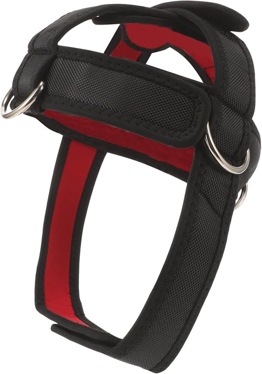 and Neck Trainer Indoor Neck Exerciser Neck Weight