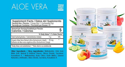 Yes You Can! Detox Plus Kit (Meal Replacement Duce de Leche, Aloe Vera Mango) - Complete Meal Replacement Powder, High Energy Shake Booster, Aloe Vera Detox Supplement, Health Transformation