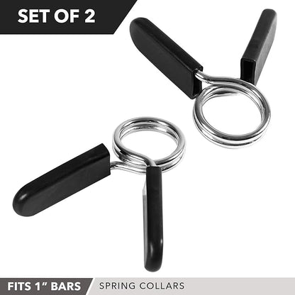 Day 1 Fitness Spring Clips 2 – 1” for 2” for