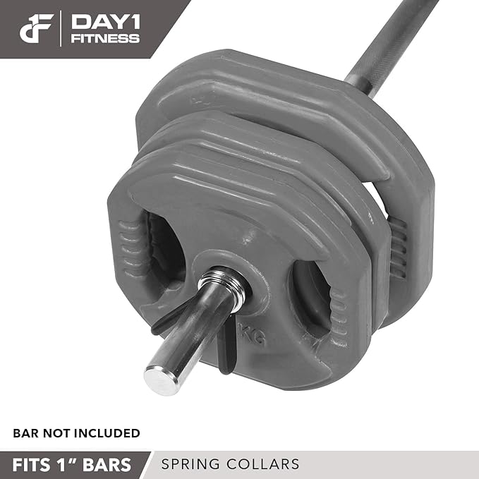 Day 1 Fitness Spring Clips 2 – 1” for 2” for