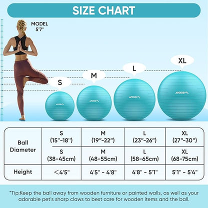APEXUP Yoga Ball Exercise Ball