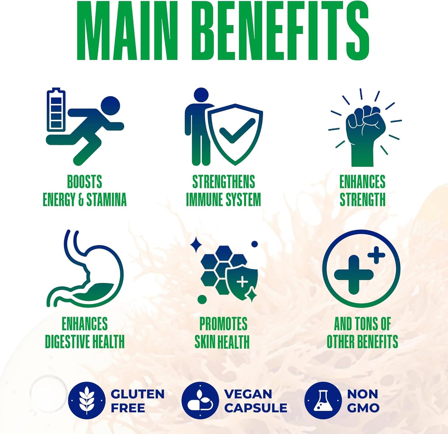 Sea Moss Black Seed Oil Ashwagandha Ginger - Advanced Irish Sea Moss Capsules All in One Supplement with Seamoss Black Seed Oil Ashwagandha Burdock Root Bladderwrack - Pills for Energy, Immune, Gut