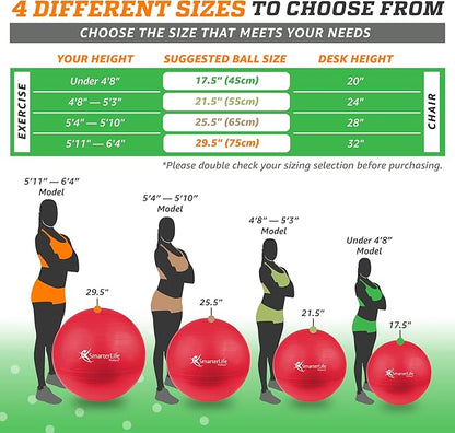 SmarterLife Workout Exercise Ball for Fitness