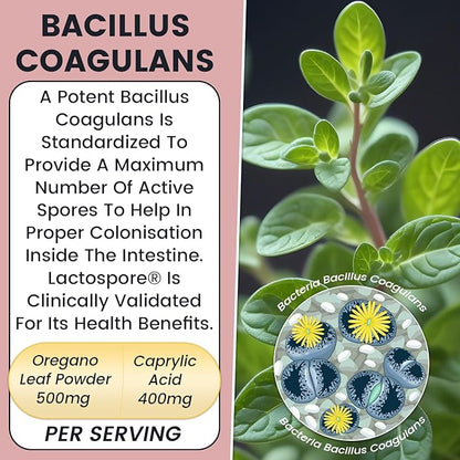 Candida Yeast Cleanse Supplement for Women & Men. Gut Flora & pH Level, Intestinal Health W/Probiotics. Anti Yeast Overgrowth W/Oregano, Caprylic Acid 60 CT