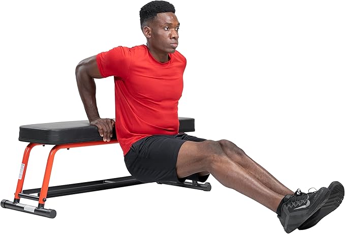 Sunny Health & Fitness Flat Weight Bench Optional Dumbbell Rack for Strength Training, Full Body Workout, Exercise, Home Gym
