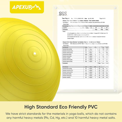 APEXUP Yoga Ball Exercise Ball