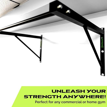 R2 Wall Mounted Pull Up Bar (500 lbs)