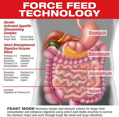 MuscleMeds Feast Mode Appetite Stimulant Weight Gain Pills Digestive Enzymes Safe and Effective 90 Caps, Unflavored, 90 Count
