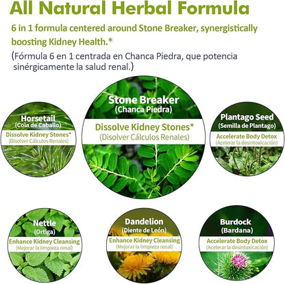 Chanca Piedra Herbal Tincture, Extract with Stone Breaker, for Kidney Stones Dissolve, Kidney Cleanse Support & Detox Support. 2oz
