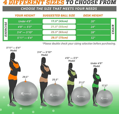 SmarterLife Workout Exercise Ball for Fitness