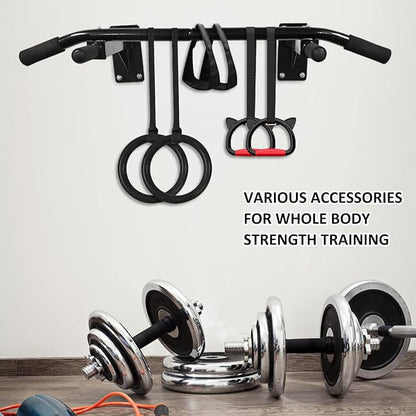 Wall Mounted Pull Up Bar