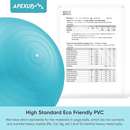 APEXUP Yoga Ball Exercise Ball