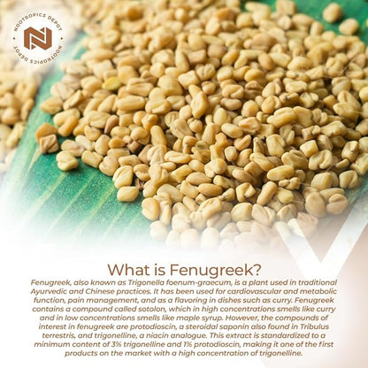 Nootropics Depot Fenugreek Extract Capsules | 500mg | 180 ct | 3% Trigonelline, 1% Protodioscin | Trigonella foenum-graecum | Mood, Fitness, & Metabolic Function
