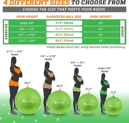 SmarterLife Workout Exercise Ball for Fitness