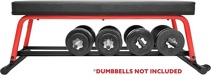 Sunny Health & Fitness Flat Weight Bench Optional Dumbbell Rack for Strength Training, Full Body Workout, Exercise, Home Gym