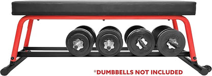 Sunny Health & Fitness Flat Weight Bench Optional Dumbbell Rack for Strength Training, Full Body Workout, Exercise, Home Gym
