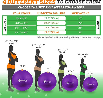 SmarterLife Workout Exercise Ball for Fitness