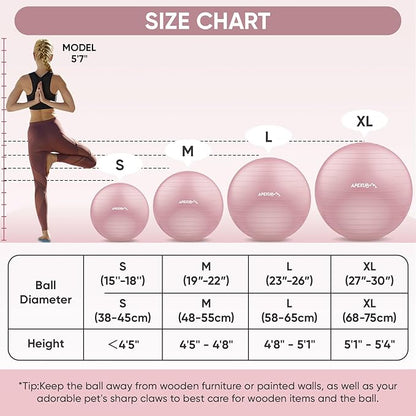 APEXUP Yoga Ball Exercise Ball