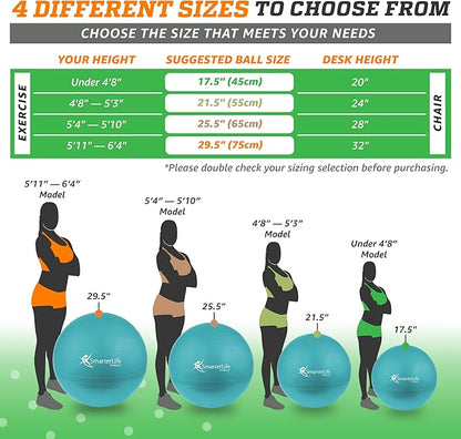 SmarterLife Workout Exercise Ball for Fitness