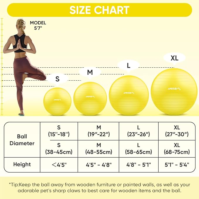 APEXUP Yoga Ball Exercise Ball