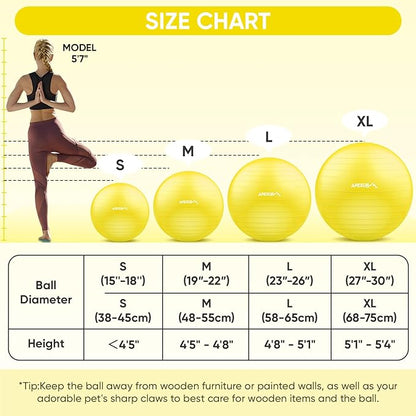 APEXUP Yoga Ball Exercise Ball