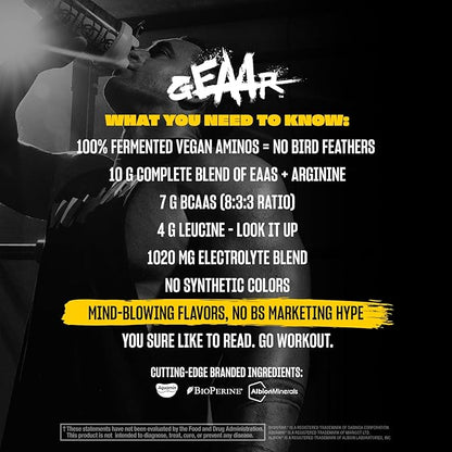 Mutant GEAAR - 9.4g of EAA Powder + Arginine, 7g BCAAs, 4g Leucine, Electrolytes, Coconut Water, 30 Servings (Orange Rush)