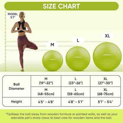APEXUP Yoga Ball Exercise Ball