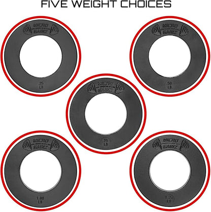 Micro Gainz Olympic Fractional Weight Plates Set 10 Piece