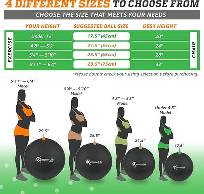 SmarterLife Workout Exercise Ball for Fitness