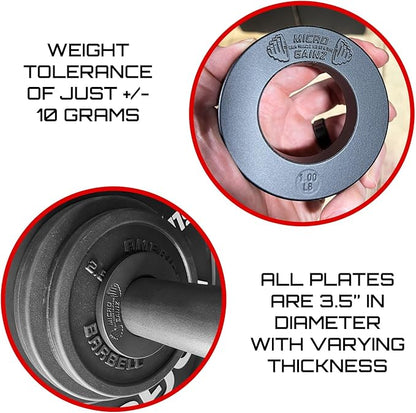 Micro Gainz Olympic Fractional Weight Plates Set 10 Piece