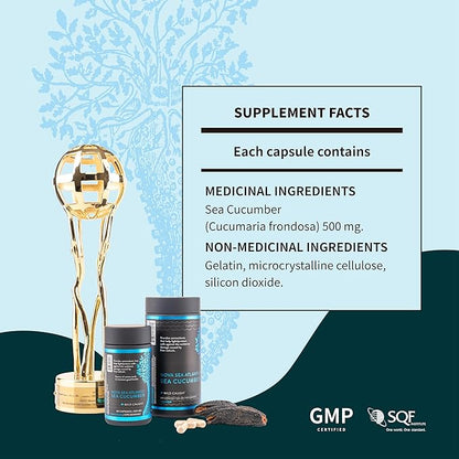 Wild Sea Cucumber Supplement Capsules Antioxidant Healthy Energy Supplement with Fucosylated Chondroitin Sulfate Collagen Glycosides Vitamins Minerals(Pack of 3)