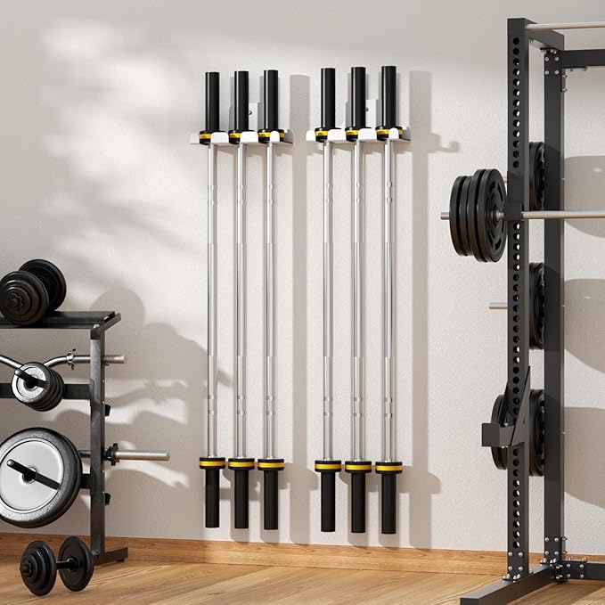 Olympic Barbell Hanger 33mm Bar
