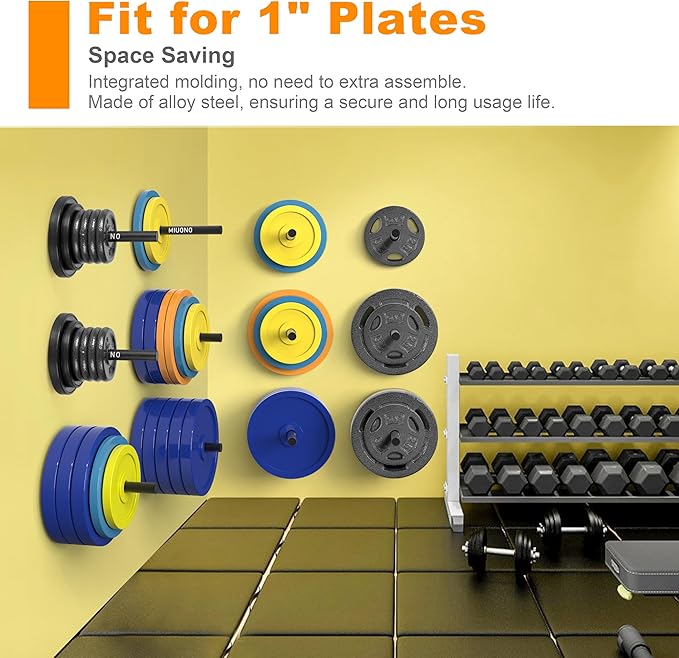Weight Plate Rack, Wall Mount Weight Plate Holder for 1" Plates, 5 Pack Weight Storage Racks Home Gym Organizer